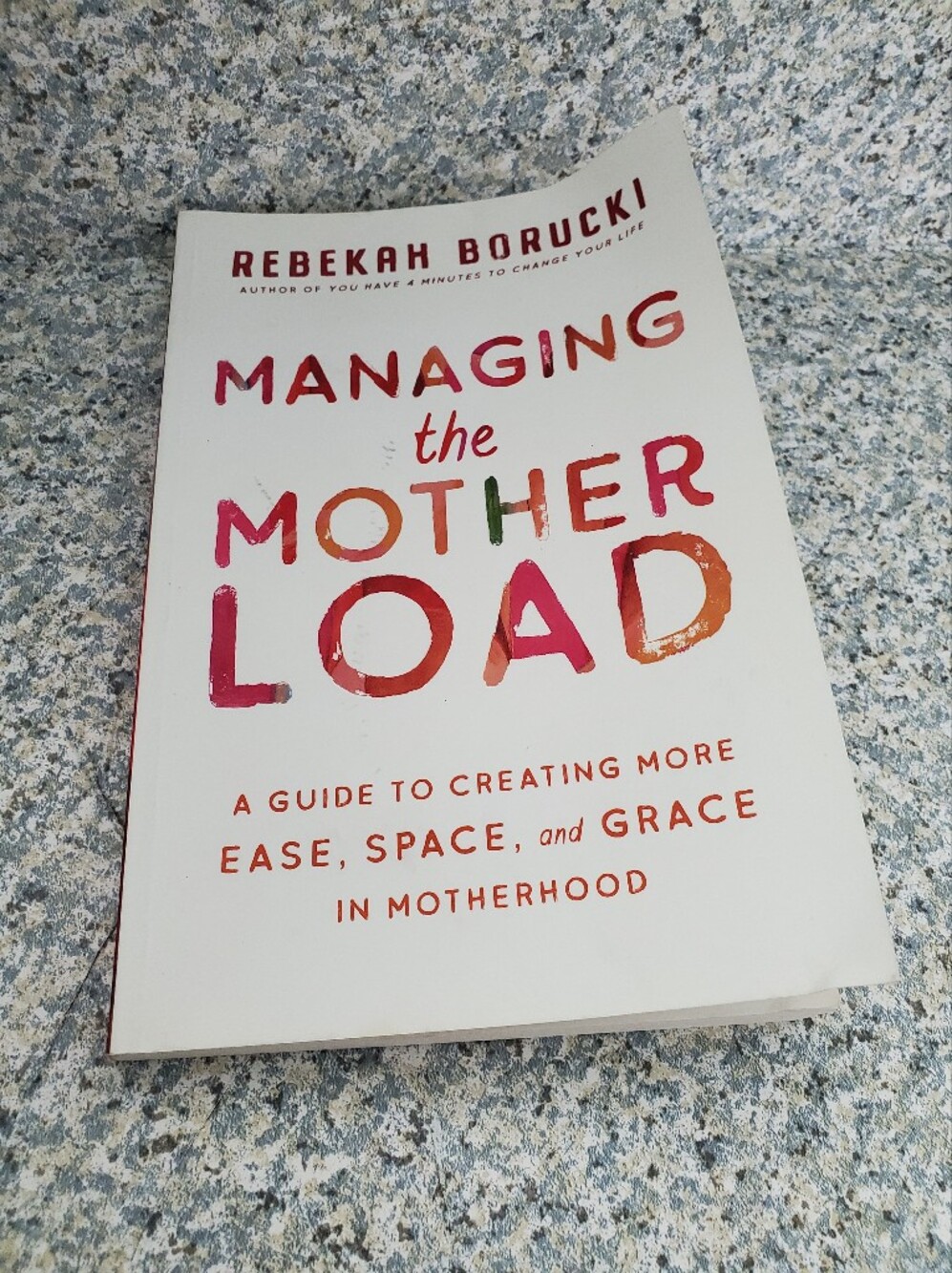 "Managing the Mother Load" Book By Rebekah Borucki Paperback Preowned